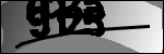 متن برای شناسایی